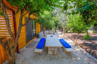 Garden bungalow - 5