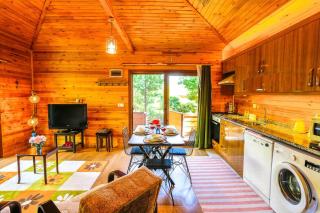 Garden bungalow - 4