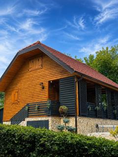Spa retreat vacation house on Kupa river - 8