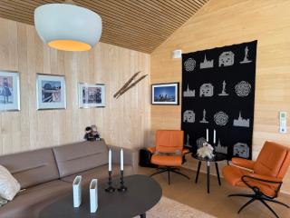 Chalet Gaustatoppen, Gaustablikk, sol og utsikt, ski in ski out - 2