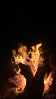 Merzouga Authentic Luxury Camp - 4