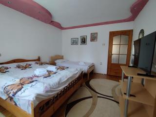 Casa Iancu - 5