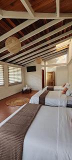 Quinta La Aurora Hostal B - 1