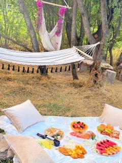JIV Guesthouse in Odzun - 4