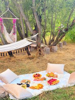 JIV Guesthouse in Odzun - 5
