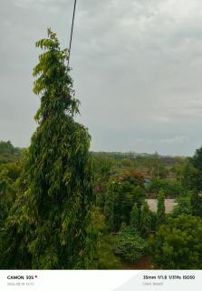 Swara house - 9