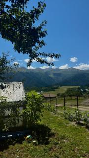 Guest House Dora - 1