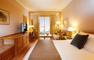 Hotel Le Mount Plaza New Delhi - 9