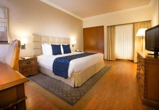 Hotel Le Mount Plaza New Delhi - 2