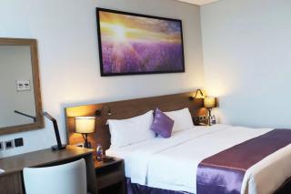 Hotel Le Mount Plaza New Delhi - 6