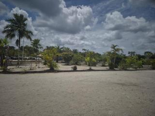 Caribo Beach Resort NV - 4
