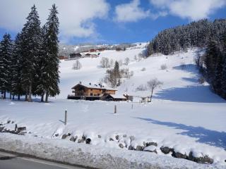 Ferienhaus Fassl - 0