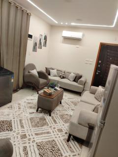 المنصورة - 8