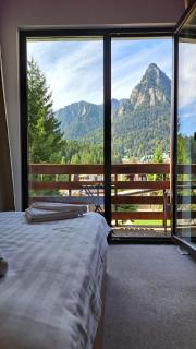 Vila PANORAMIC Busteni - 8