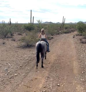 SaguaroGlamp - Marana - 9