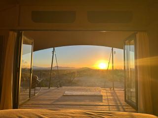 SaguaroGlamp - 8