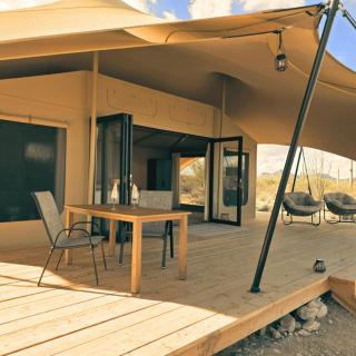 SaguaroGlamp - 5