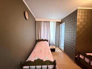 Grand hotel dmanisi - 4