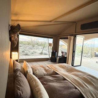 SaguaroGlamp - 4