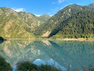 Mountain View - 8