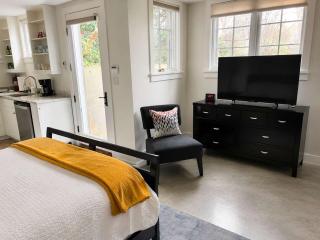 New Luxe Studio Cleveland Park near Zoo - 4