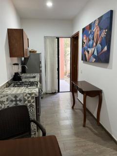 Suite al sur Guadalajara - 2