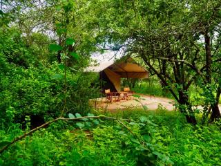Kichaka Private Camp - 9