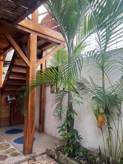 Casa Libelula - 7