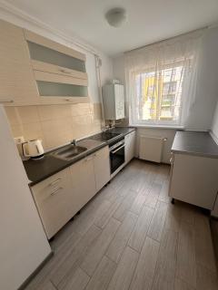 SLV Apartment Coresi - 1