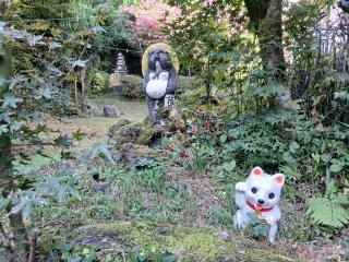 Guesthouse Taihei - 0