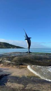 AP Guarapari - Praia do Morro - 3