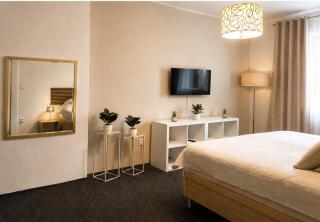 Vinohrady Central Apartment Prague 3 - 8