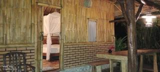 jungle house - 1