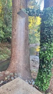 Luxury Riverfront House 3BR BBQ Jungle views & walk to river - 4