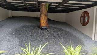 Pola Treehouse & Private Pool Surrounded by Nature, Mae Rim - 2