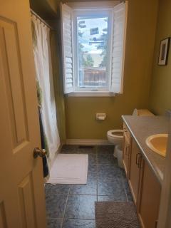 ABOVE Ground 1 Bedroom Suite in a House - 3