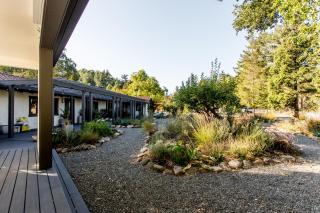 Private Vineyard Stay in Napa Valley - 5