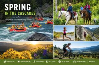 Nature Acres by NW Comfy Cabins - 4