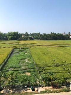Hùng Kim Homestay - 8