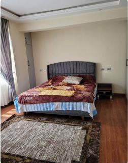 Bole Mid-City Apt - 5