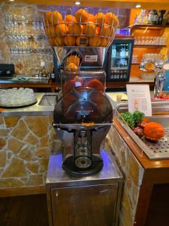 Hotel Dolores Ameland - 9