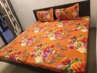 HOTEL KESAR AMRAPALI CA CIRCLE udaipur - 2