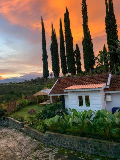 Fern Gully Hideaway Batu - 7