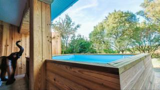 Le Safari Piscine-Jacuzzi Gîte à thème savane au cœur du Tarn - 7