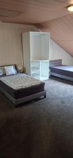 Großes 2,5-Zimmer-Apartment mit 5 Betten -  - 4
