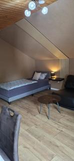 Großes 2,5-Zimmer-Apartment mit 5 Betten -  - 5