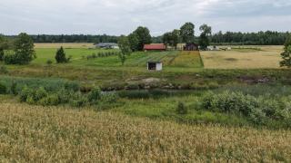 Kurepõllu apimaja - 1