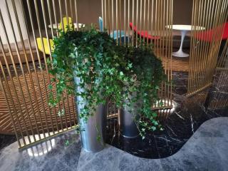 ibis Styles Yangzhou Baixiang Rd Hotel - 6