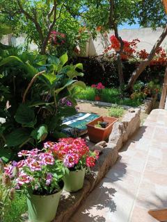 Domo Janas Affittacamere Guesthouse - 3