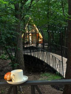 Dendro Art Resort - 6